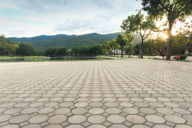 Best Best Driveway Pavers  in Zionsville, IN